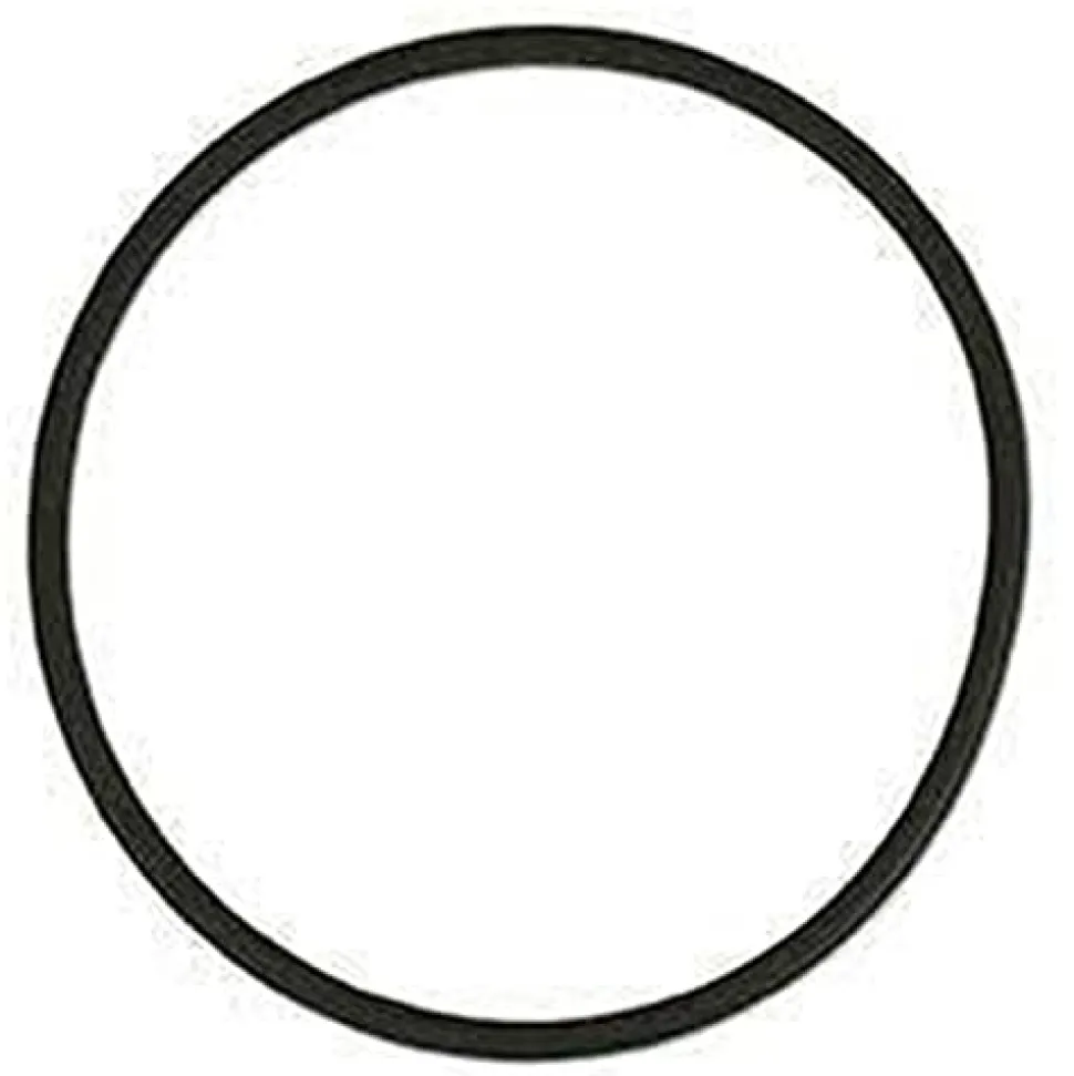 Two Little Fishies O-Ring for Phosban Reactor 150