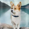 Ultimates Pro Pac Grain-Free Bayside Whitefish Meal Dry Dog Food - 28 Lbs