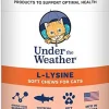 Under the Weather L-Lysine Chewy Cat Supplements - 60 Count