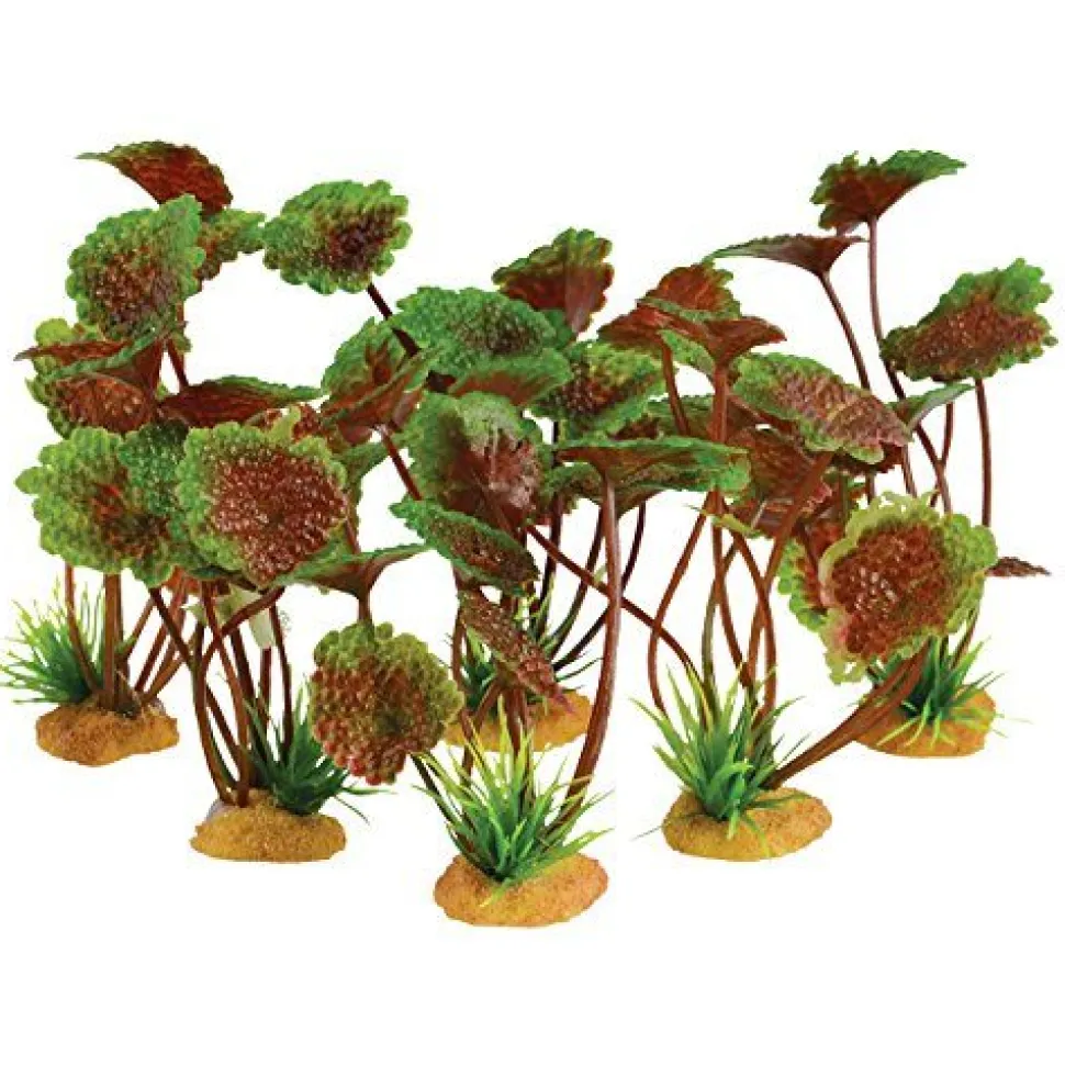 Underwater Treasures 4 Grounder Purple Cardamine - 3.5" - 6 pk