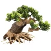 Underwater Treasures Ancient Bonsai Wood - Medium