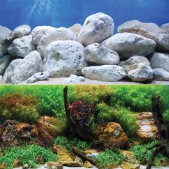 Underwater Treasures Aquagarden/White Stone Reversible Background - 18" - Sold by the Foot - 50 Feet