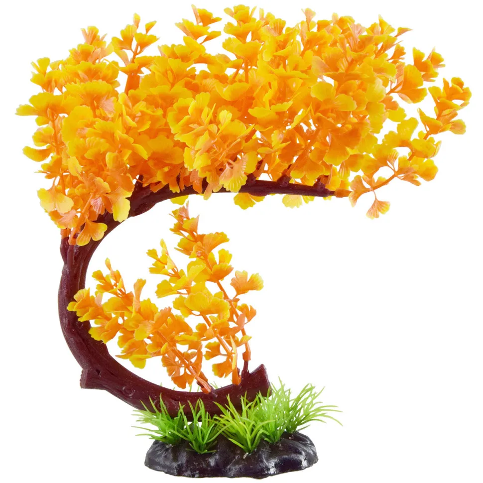 Underwater Treasures Bacopa Bonsai - Orange