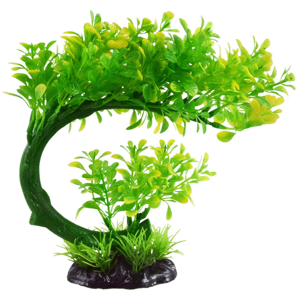 Underwater Treasures Bacopa Bonsai - Green/Yellow