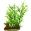 Underwater Treasures Bamboo On Root