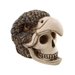 Underwater Treasures Birdman Skull