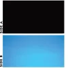 Underwater Treasures Black/Blue Reversible Background - 24" - Sold by the Foot - 50 Feet