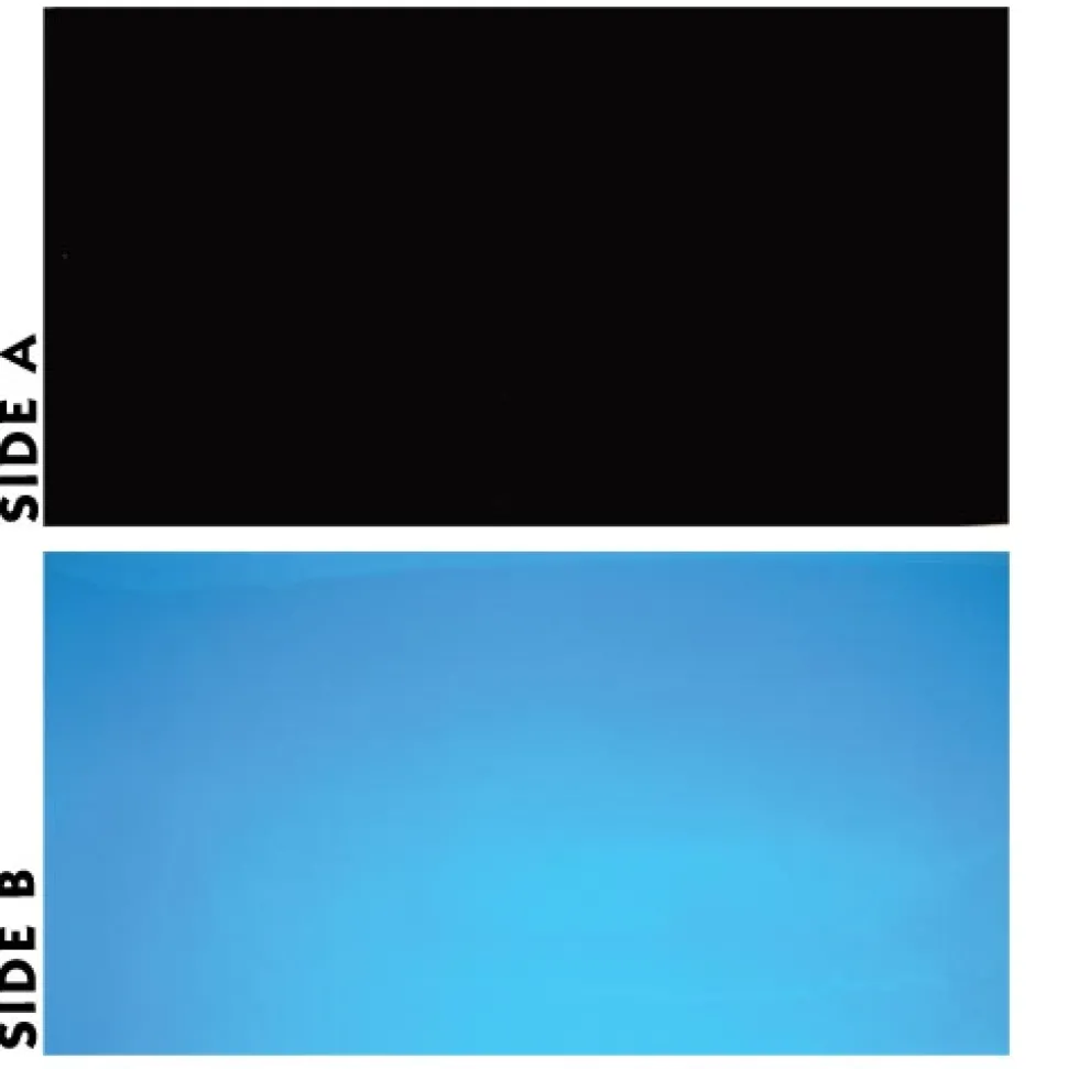 Underwater Treasures Black/Blue Reversible Background - 24" - Sold by the Foot - 50 Feet