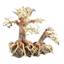 Underwater Treasures Bonsai Wood With Rock - Small