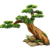Underwater Treasures Bonsai Paradise
