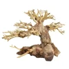 Underwater Treasures Bonsai Wood - Medium