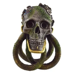 Underwater Treasures Breathing Skull