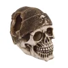 Underwater Treasures Buccaneer Skull