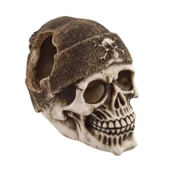 Underwater Treasures Buccaneer Skull