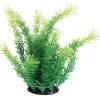 Underwater Treasures Cabomba - 10"