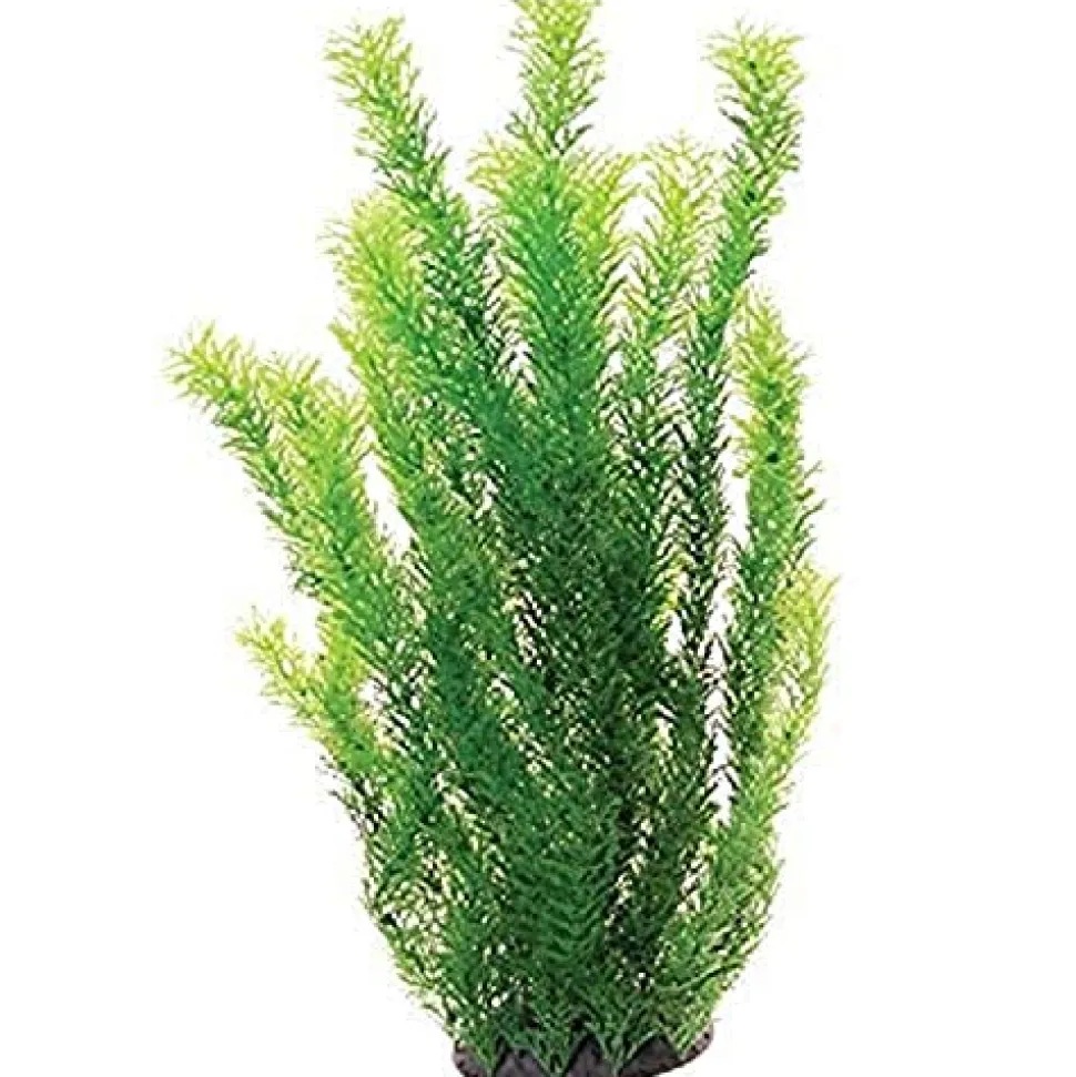 Underwater Treasures Cabomba - 20"