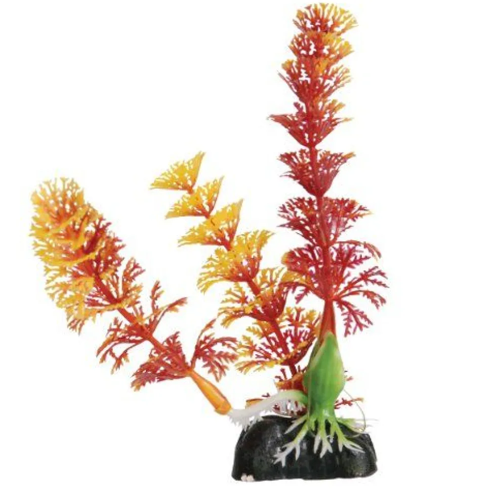 Underwater Treasures Cabomba - Red - 5" - Pack of 6