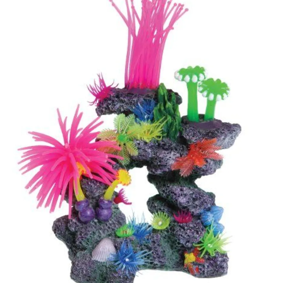 Underwater Treasures Caribbean Cave Reef