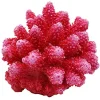 Underwater Treasures Cauliflower Coral - Red