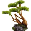 Underwater Treasures Chinese Elm Bonsai