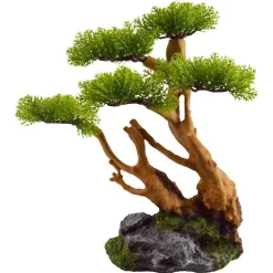 Underwater Treasures Chinese Elm Bonsai