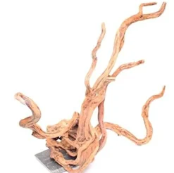 Underwater Treasures Cholla Wood - Large