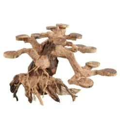 Underwater Treasures Copper Wood - Small - Pack of 2