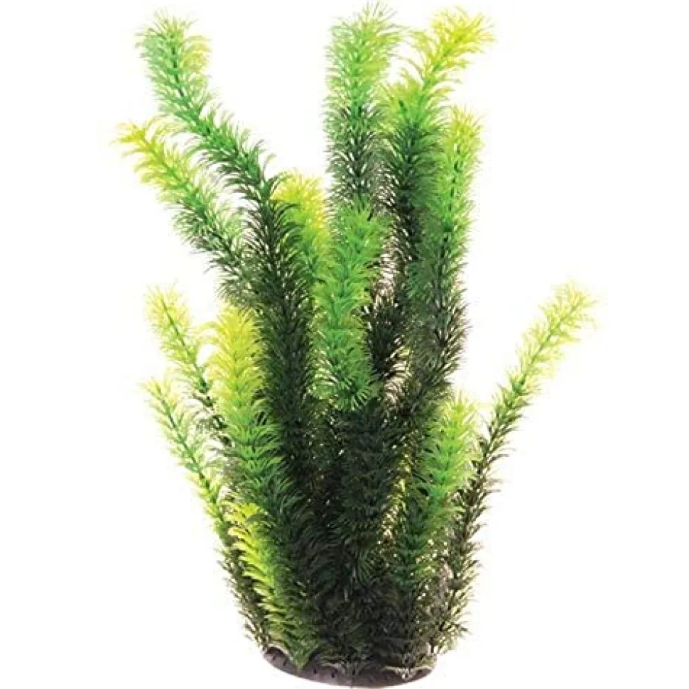 Underwater Treasures Diandra - 16"