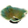 Underwater Treasures Dinner Plate Coral - Green