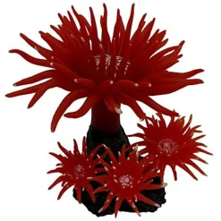 Underwater Treasures Duncan Coral - Fire Red