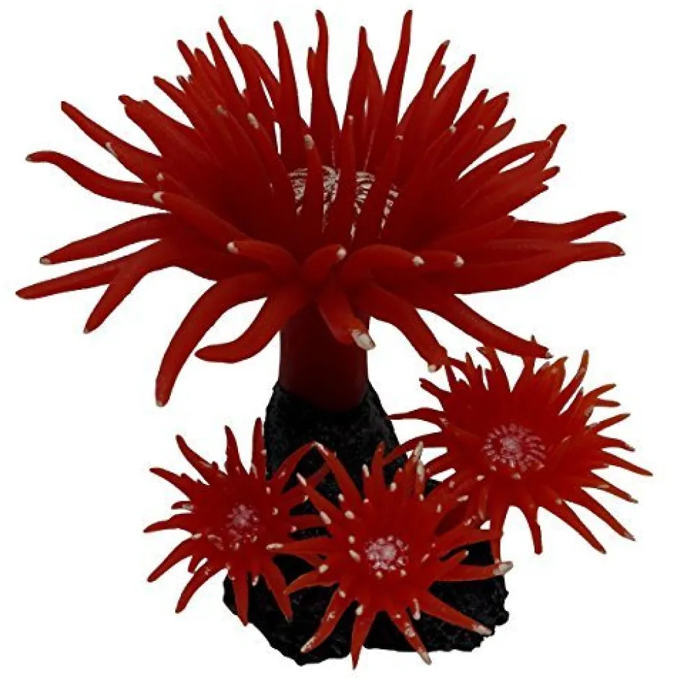 Underwater Treasures Duncan Coral - Fire Red