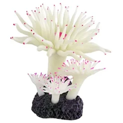 Underwater Treasures Duncan Coral - Snow White