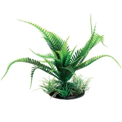Underwater Treasures Feather Ferns