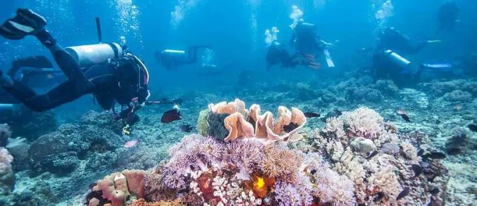 Underwater Treasures Fiji Reef - B