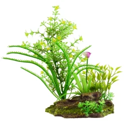 Underwater Treasures Flowering Plants
