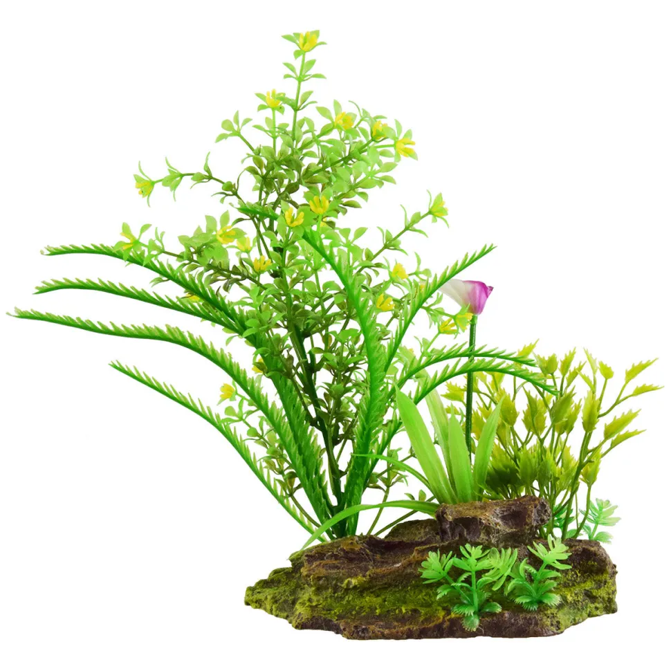 Underwater Treasures Flowering Plants