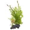 Underwater Treasures Flowering Water Sprite