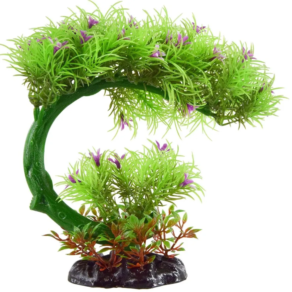 Underwater Treasures Flowering Bonsai