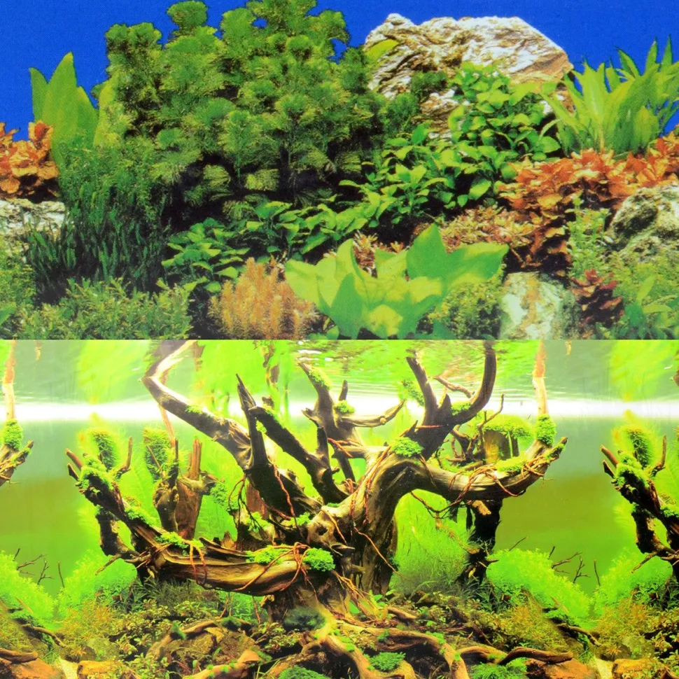 Underwater Treasures Forest Landscape