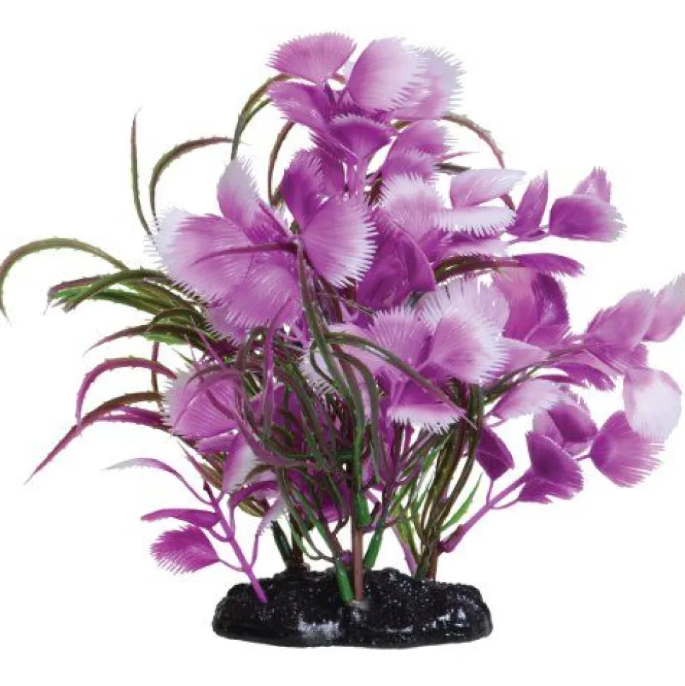 Underwater Treasures Fuscia Moon - 7.5"