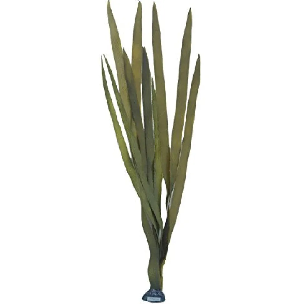 Underwater Treasures Giant Kelp - 40"