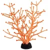 Underwater Treasures Gorgonian - Orange