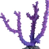 Underwater Treasures Gorgonian - Purple