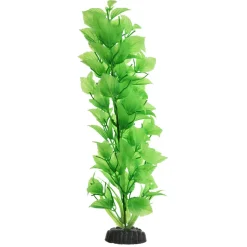 Underwater Treasures Green Broadleaf - Tall