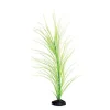 Underwater Treasures Green Hairgrass - 20"