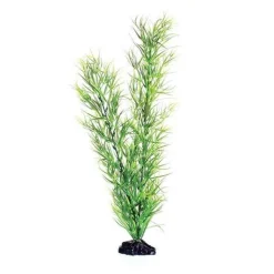 Underwater Treasures Green Diandra - 20"