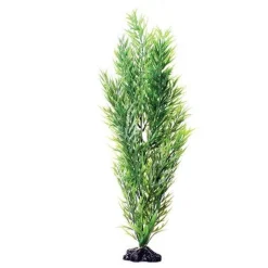 Underwater Treasures Green Bamboo - 20"