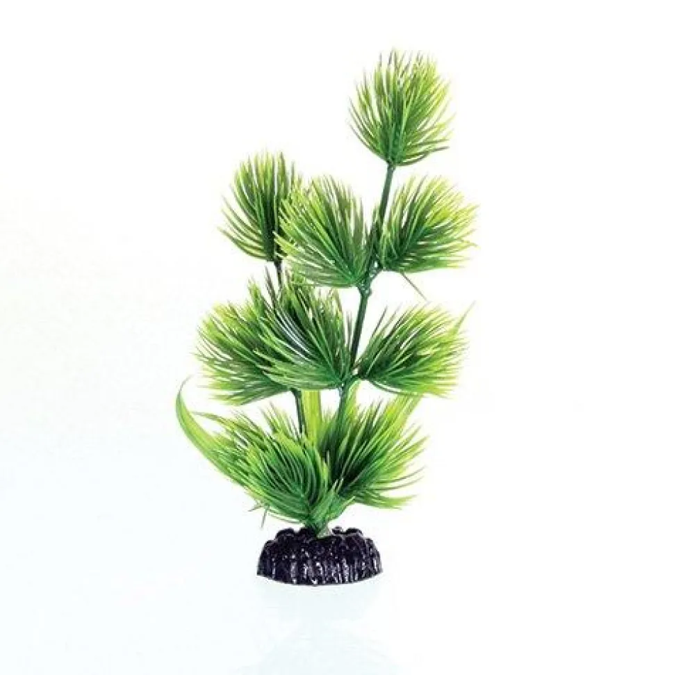 Underwater Treasures Green Conifer - 8"