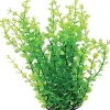 Underwater Treasures Green Moneywort - 10"