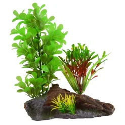 Underwater Treasures Green Ludwidgia On Wood